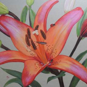 lily, flowers, blooms, garden blossoms, orange, colourful, ladybird