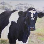 Dairy cow - Black Beauty