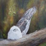 Tawny Frogmouth & baby chick